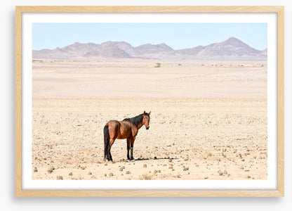 Lost in the desert
