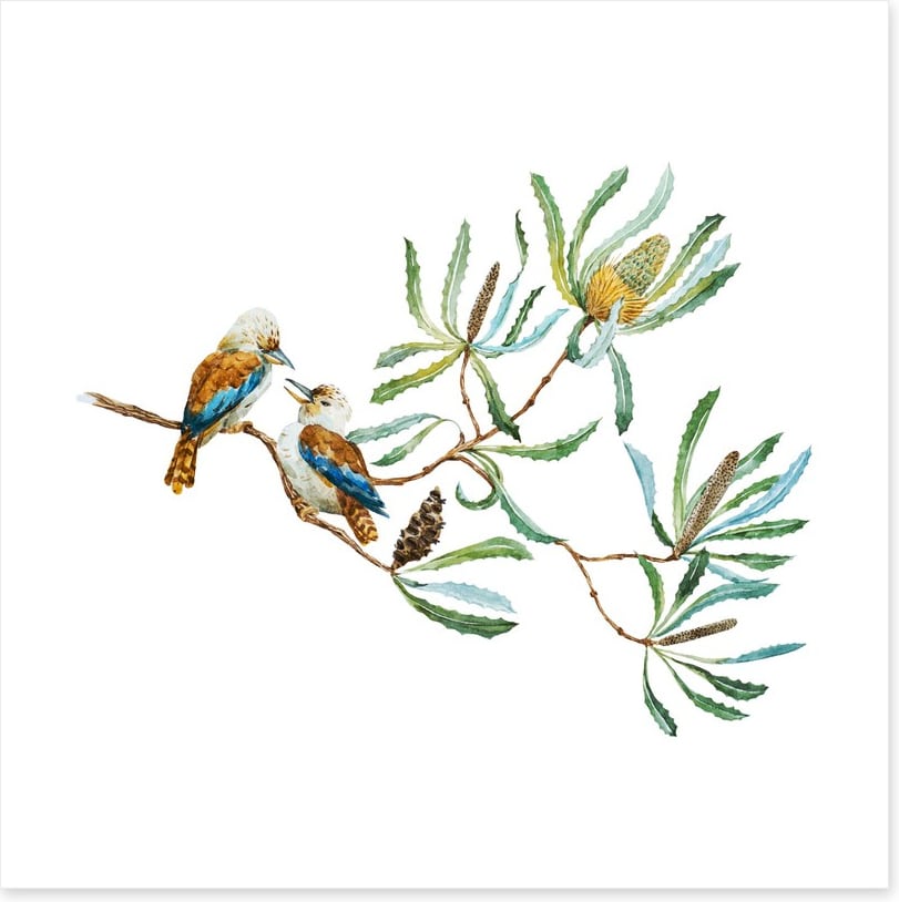 Kookaburra grove