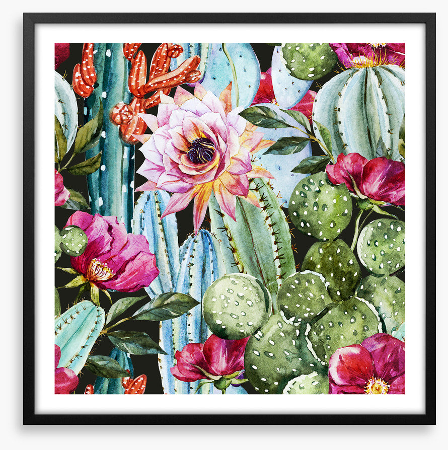 Desert rose