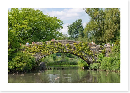 Gapstow greenery