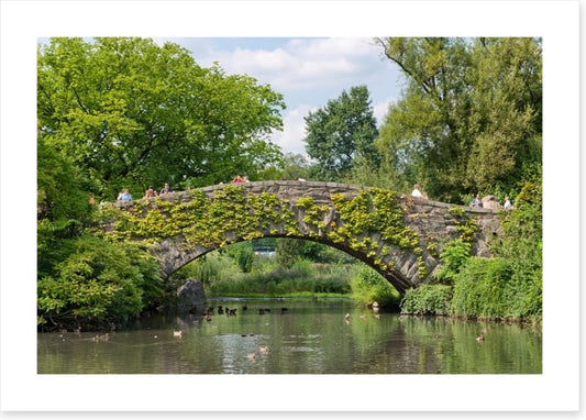 Gapstow greenery