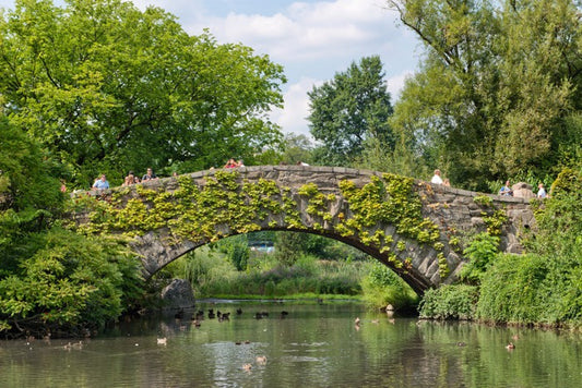 Gapstow greenery