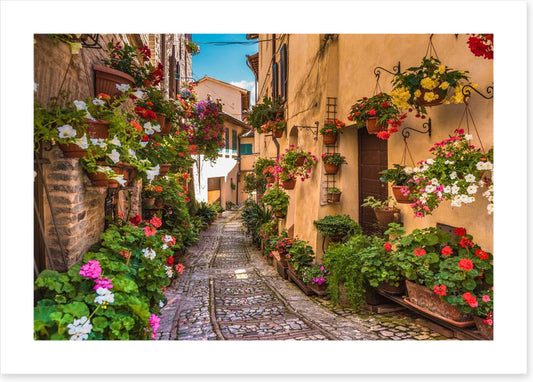 Floral alley in Umbria, Italy