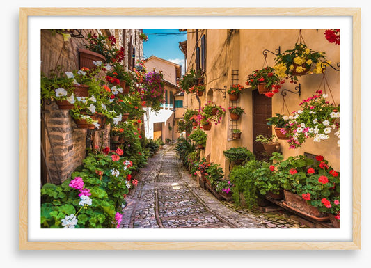 Floral alley in Umbria, Italy