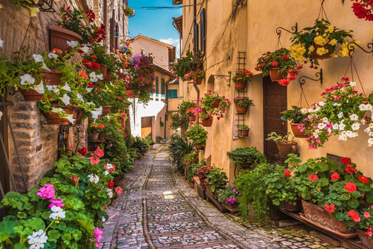 Floral alley in Umbria, Italy