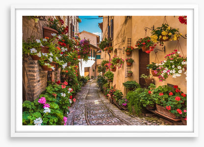 Floral alley in Umbria, Italy