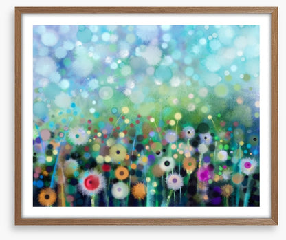 Meadow of dreams