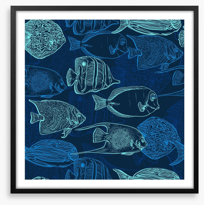 Deep sea swim