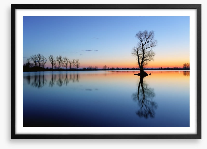 Silhouette tree reflections