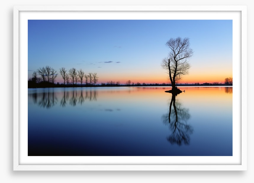 Silhouette tree reflections