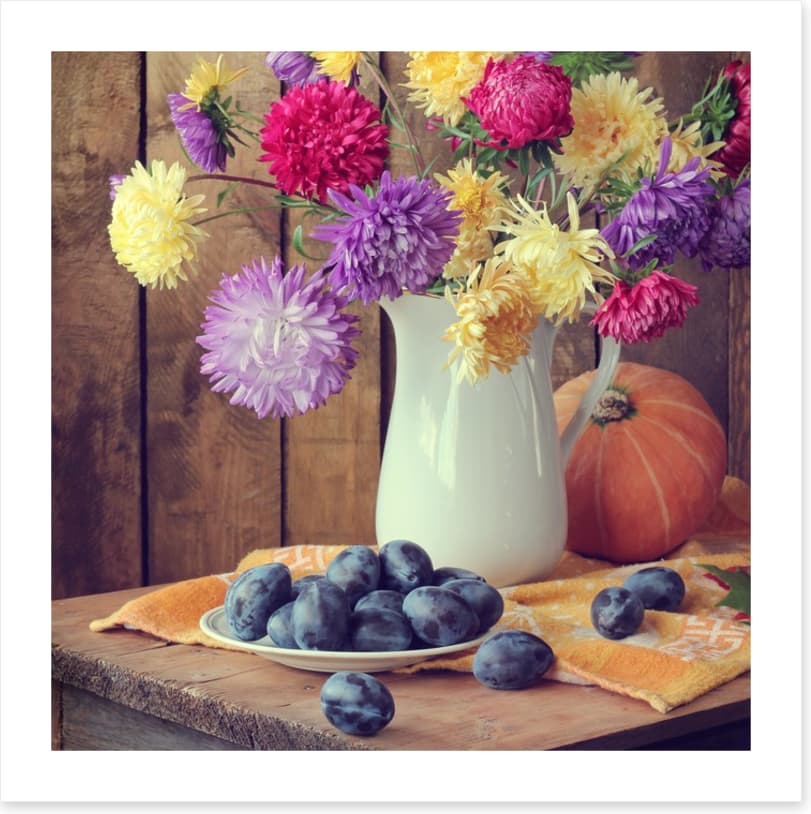 Still Life