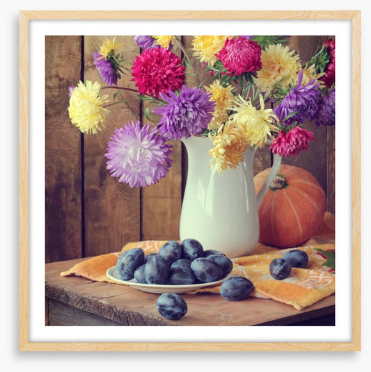 Still Life