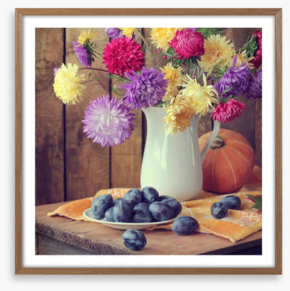 Still Life