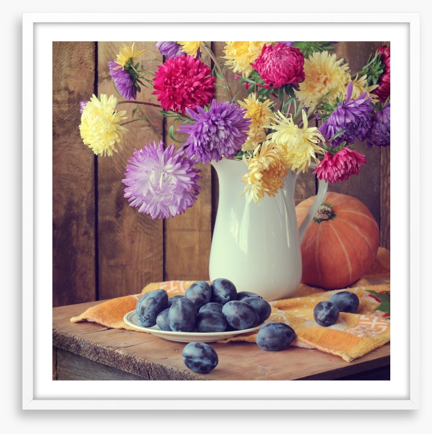 Still Life