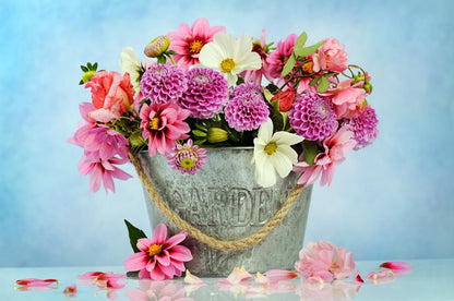 Freshly picked