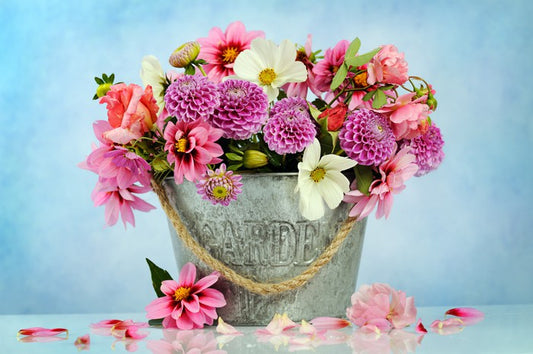 Freshly picked