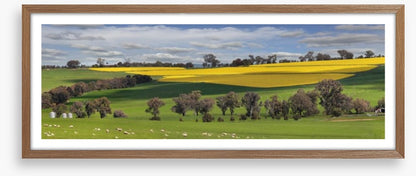Meadows