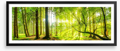 Green beams panorama