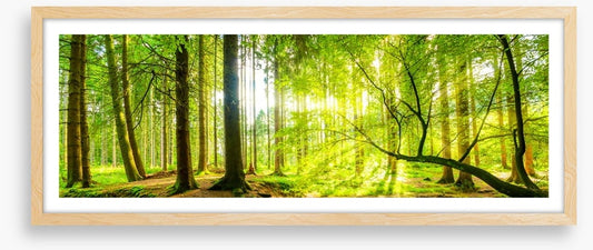 Green beams panorama