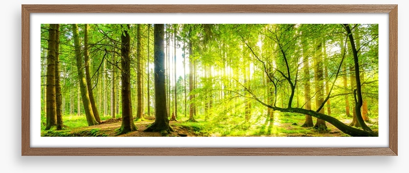 Green beams panorama
