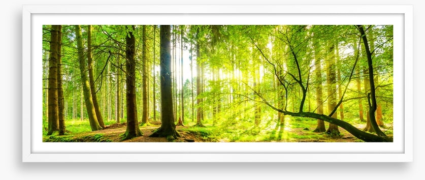 Green beams panorama