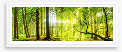 Green beams panorama