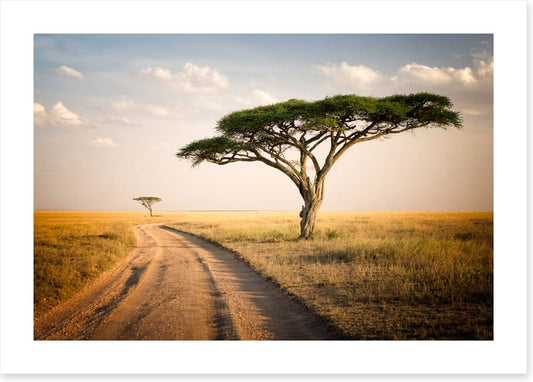 Africa