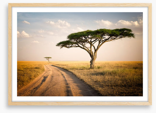 Africa