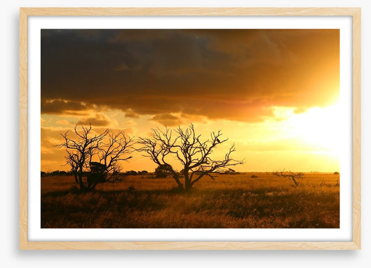 Breaking the drought