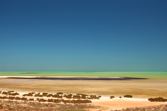 Shark Bay summer