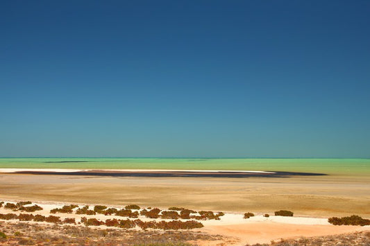 Shark Bay summer