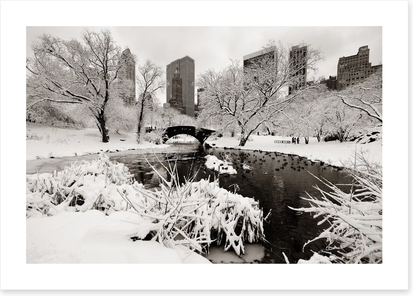 After the snowstorm