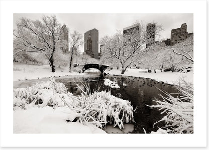 After the snowstorm