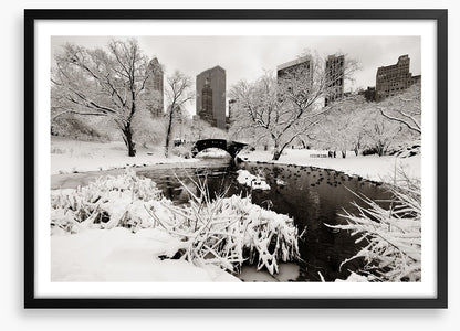 After the snowstorm