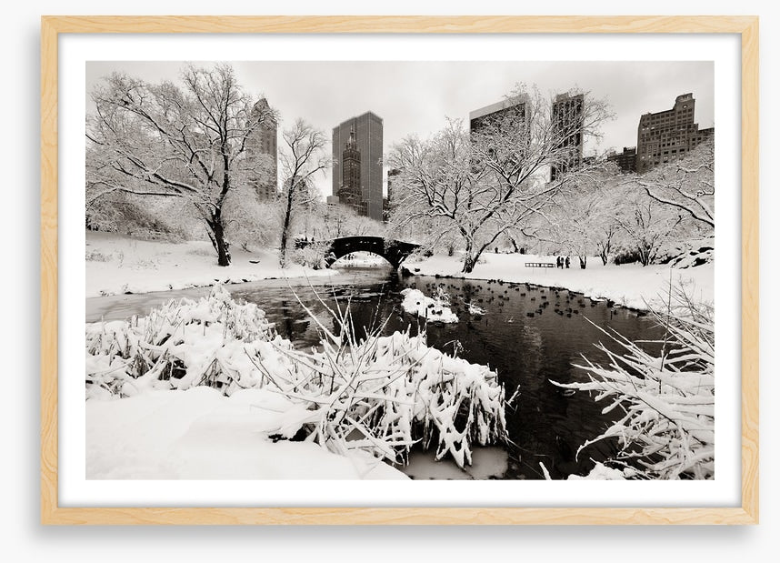 After the snowstorm