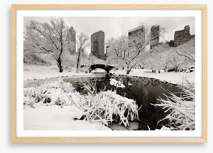 After the snowstorm