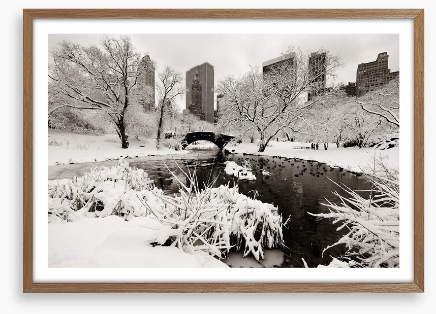 After the snowstorm