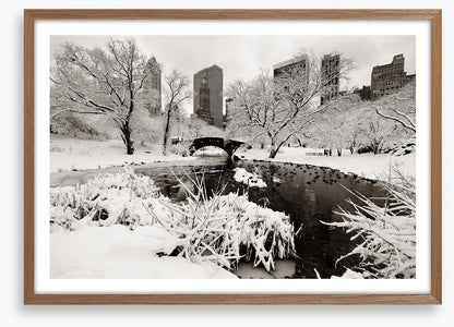 After the snowstorm