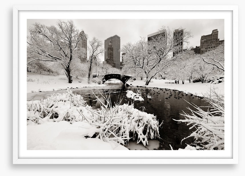 After the snowstorm