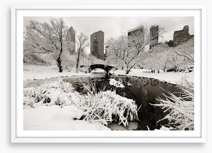 After the snowstorm