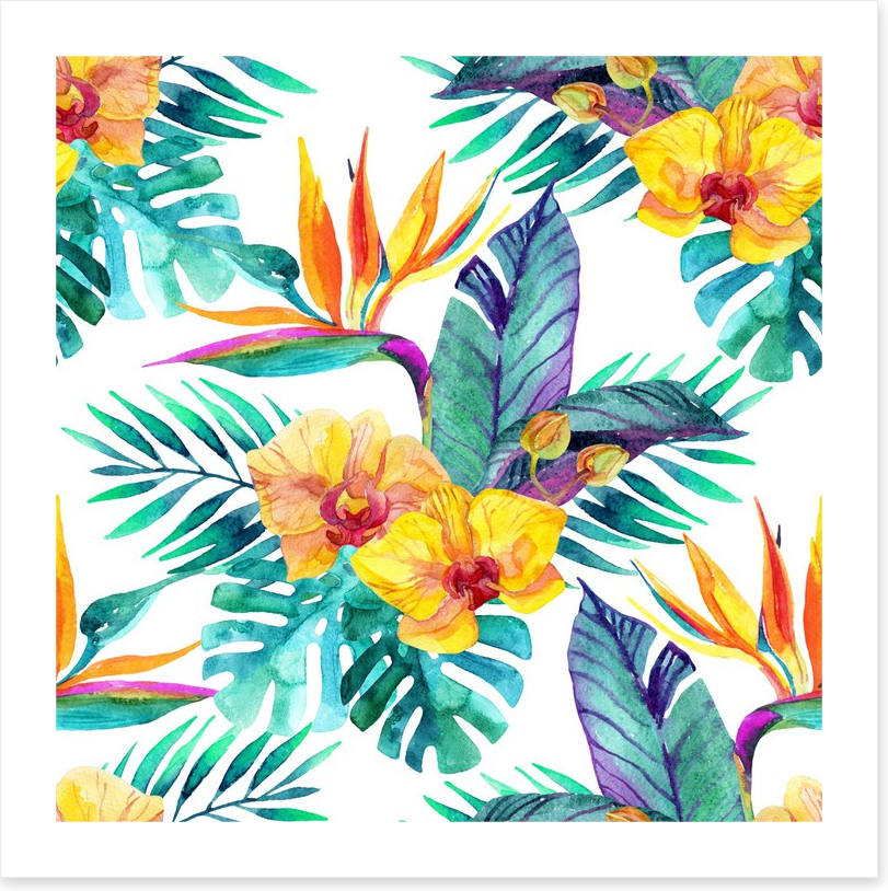Orchid paradise leaves