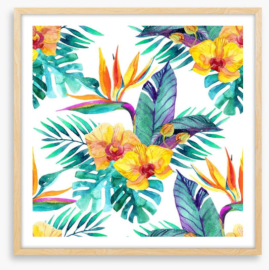 Orchid paradise leaves