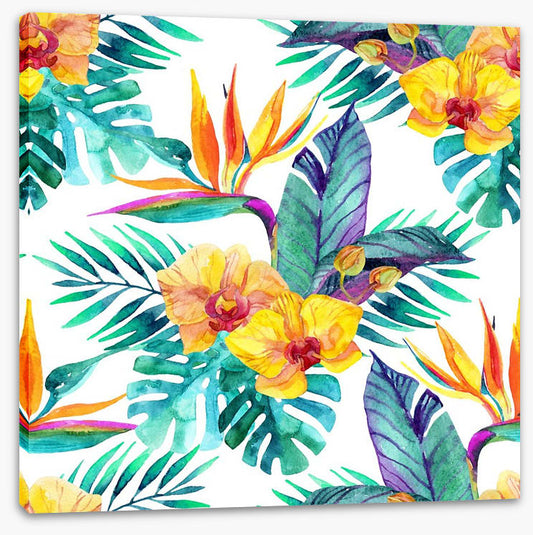 Orchid paradise leaves