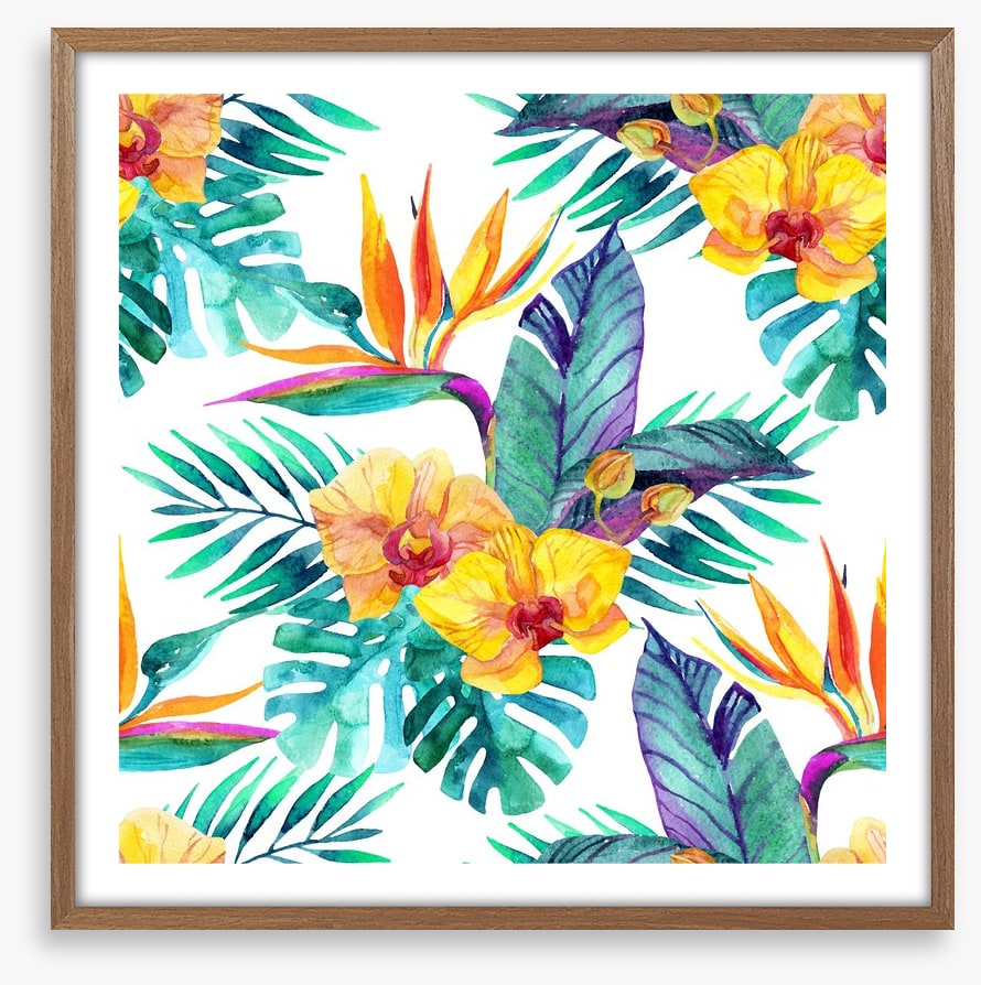 Orchid paradise leaves