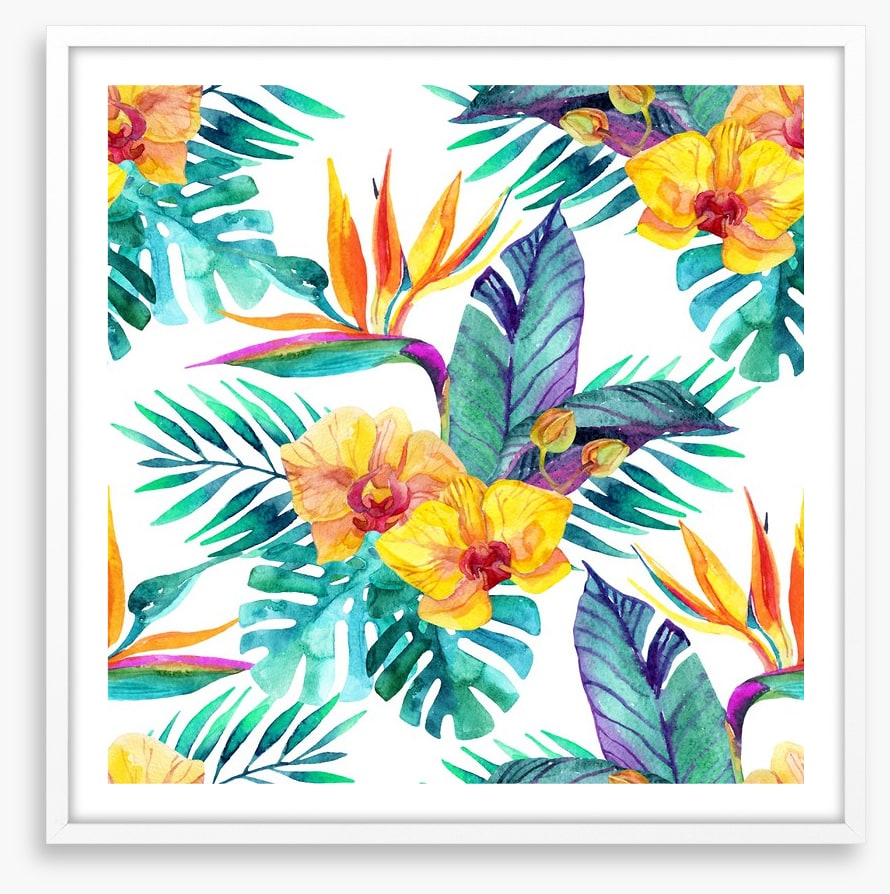 Orchid paradise leaves