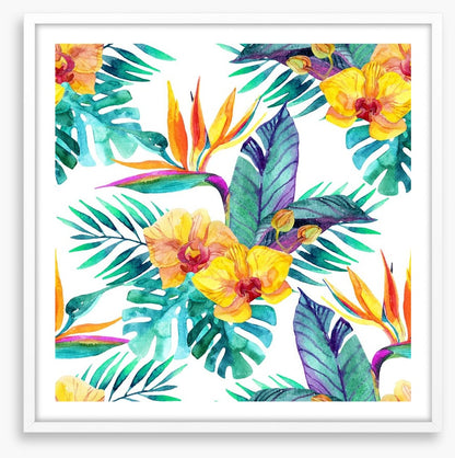 Orchid paradise leaves