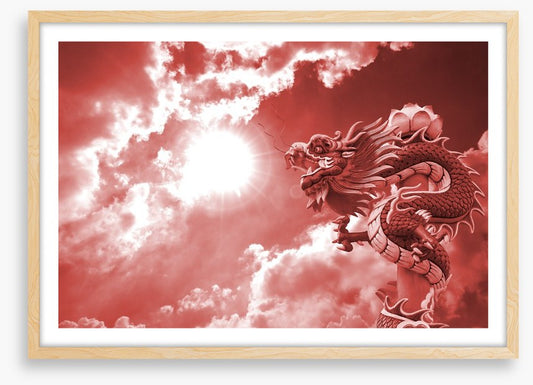 Dragons