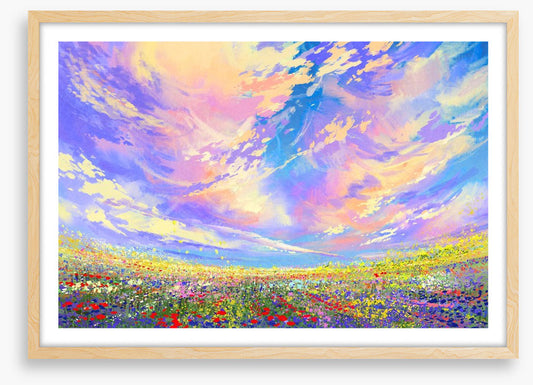 Summer skies