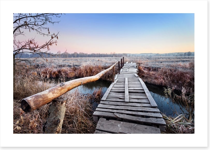 Frosty footbridge