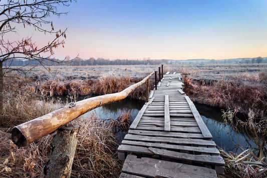 Frosty footbridge